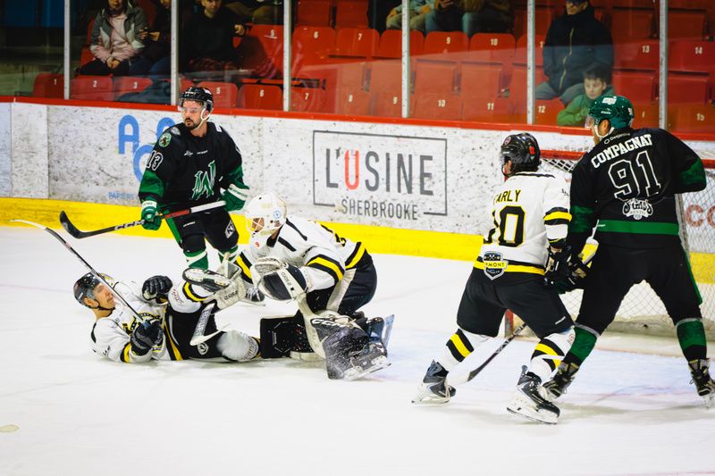 Une fin de semaine chargée dans la Ligue régionale de hockey